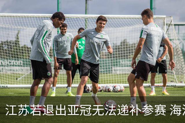 江苏若退出亚冠无法递补参赛 海港仍要先踢附加赛